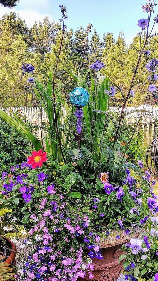 לונג ביץ' Boreas Bed & Breakfast Inn מראה חיצוני תמונה